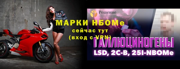 прущий лед Алзамай