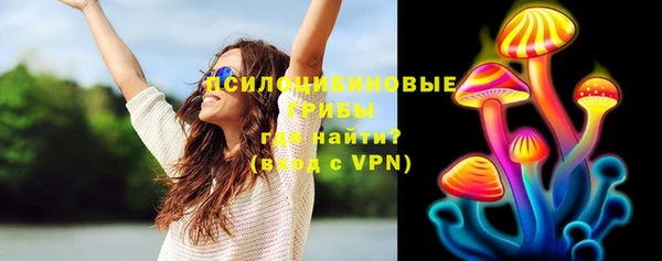 прущий лед Алзамай