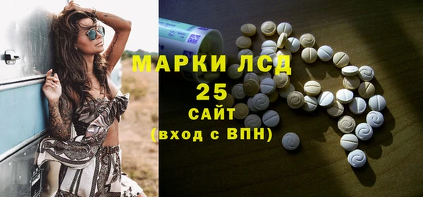 прущий лед Алзамай